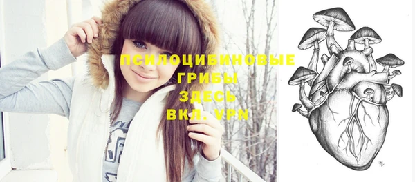 молекула духа Слюдянка