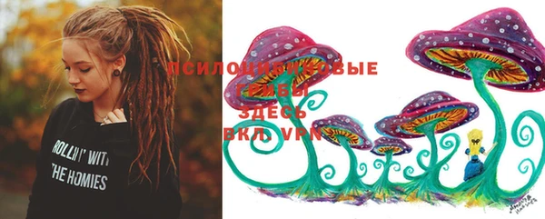 ешки Семёнов